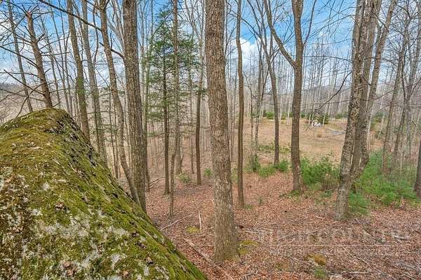 24.5 Acres of Recreational Land for Sale in Sugar Grove, North Carolina