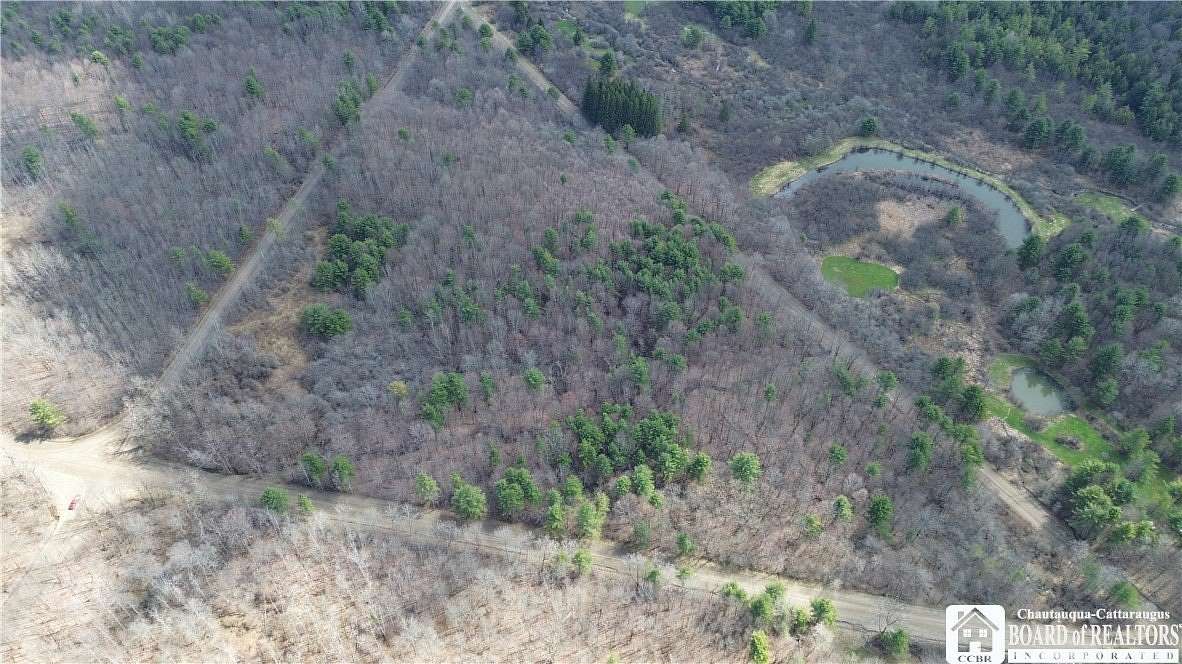 25 Acres of Recreational Land for Sale in Hunt, New York