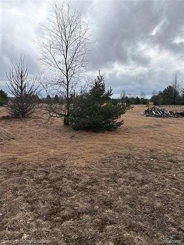 10 Acres of Recreational & Residential Land for Sale in Boardman Township, Michigan