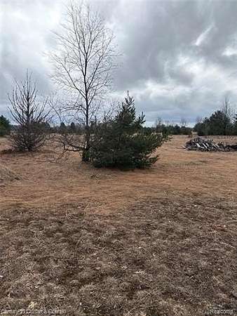 10 Acres of Recreational & Residential Land for Sale in Boardman Township, Michigan