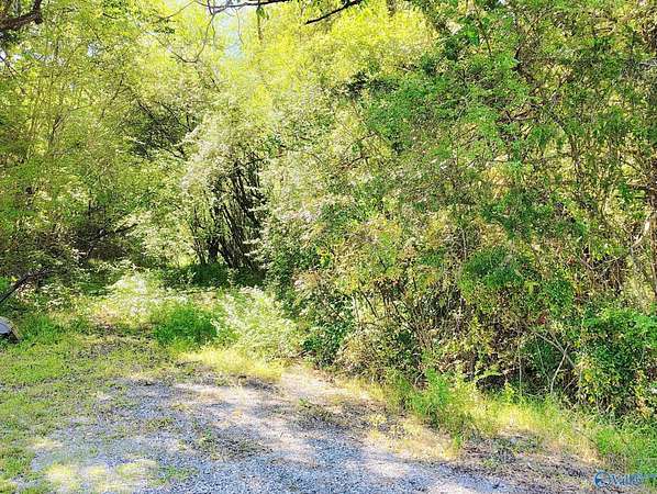 1 Acre of Residential Land for Sale in Adger, Alabama