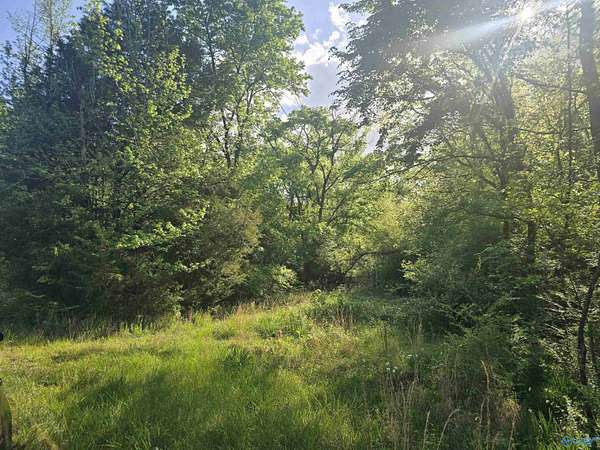 6.6 Acres of Residential Land for Sale in Hollywood, Alabama