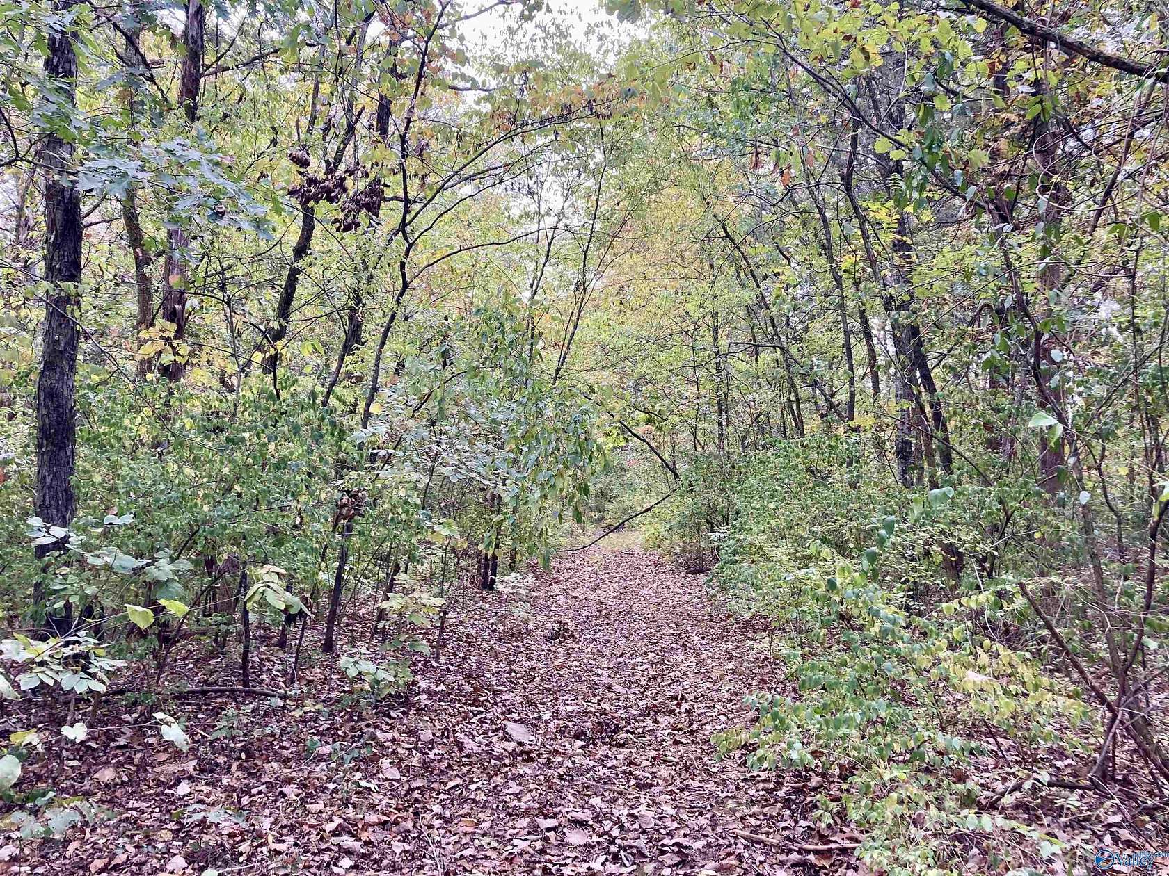 3.44 Acres of Residential Land for Sale in Trinity, Alabama