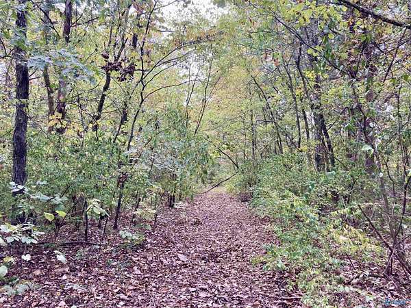 3.44 Acres of Residential Land for Sale in Trinity, Alabama