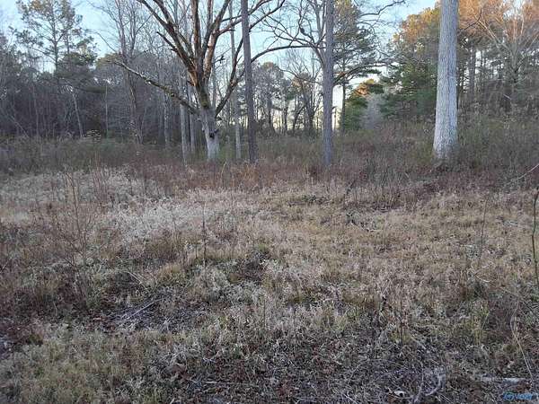 3 Acres of Residential Land for Sale in Gadsden, Alabama