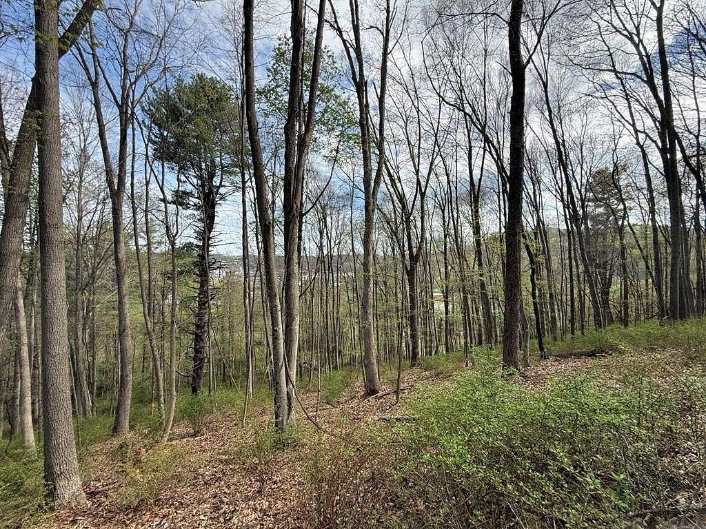 8.48 Acres of Residential Land for Sale in Galax, Virginia