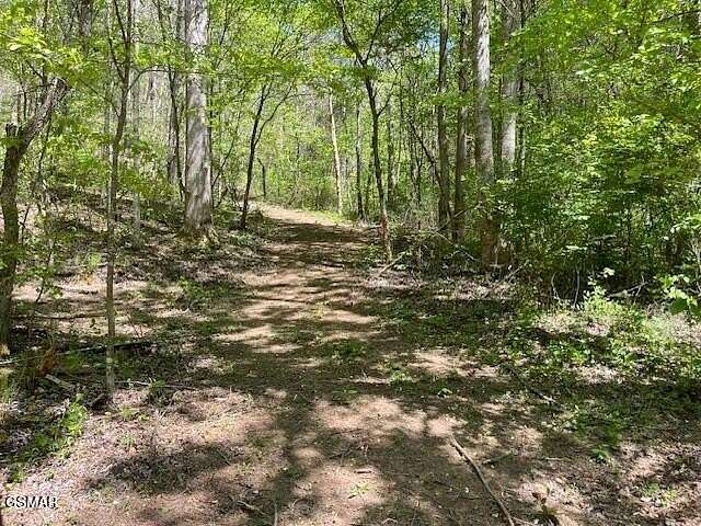 74.3 Acres of Land for Sale in Sevierville, Tennessee