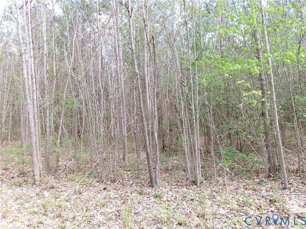 11.4 Acres of Land for Sale in DeWitt, Virginia