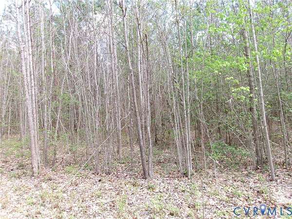 11.4 Acres of Land for Sale in DeWitt, Virginia