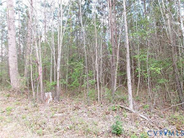 21.5 Acres of Land for Sale in DeWitt, Virginia
