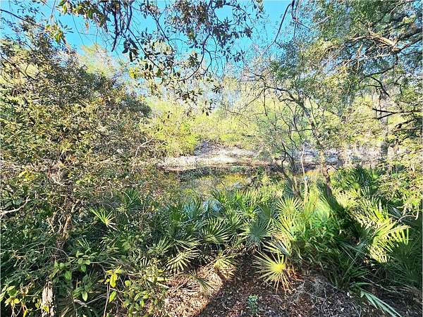 0.75 Acres of Residential Land for Sale in White Springs, Florida