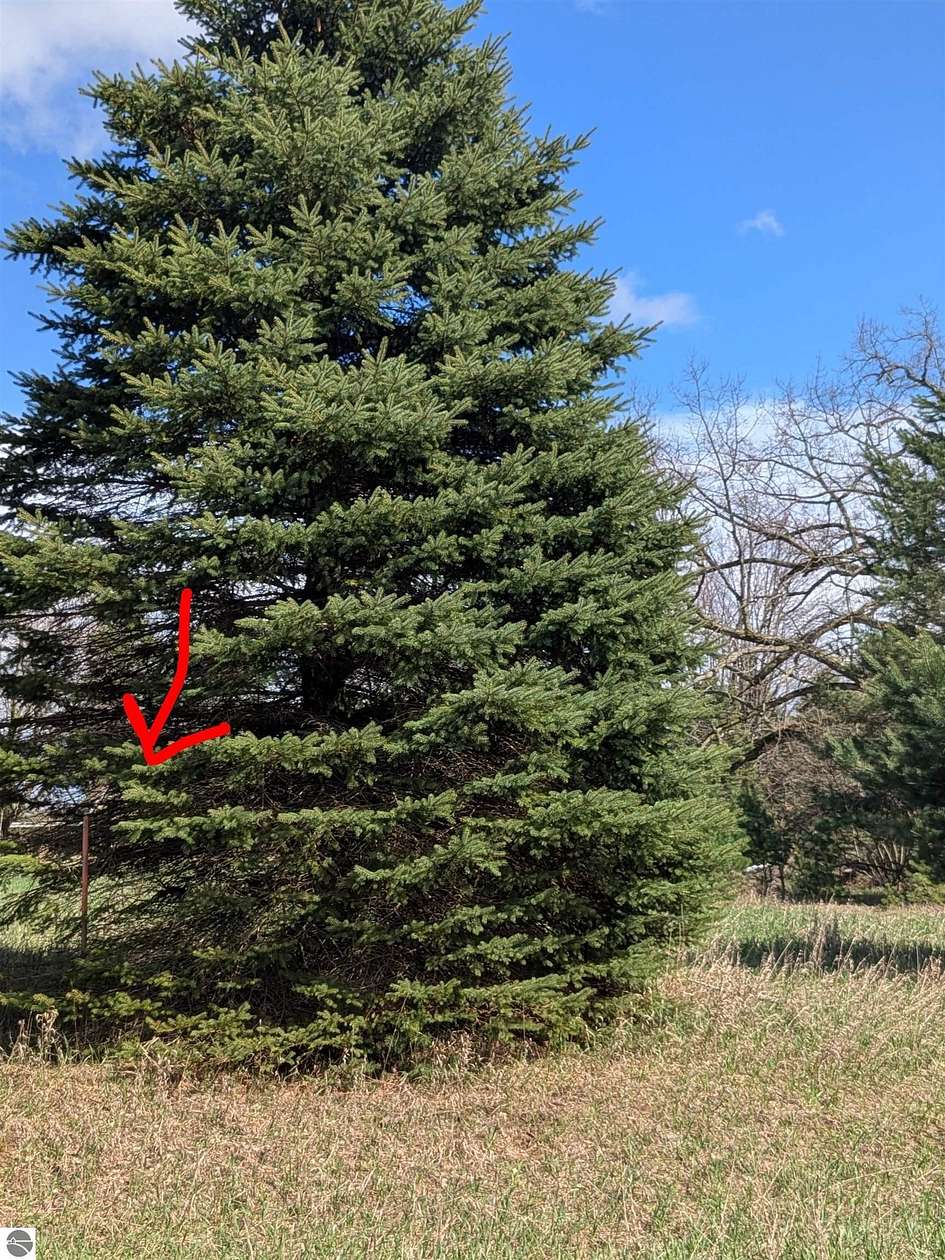 0.29 Acres of Residential Land for Sale in Lake Isabella, Michigan