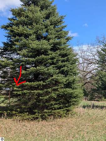 0.29 Acres of Residential Land for Sale in Lake Isabella, Michigan