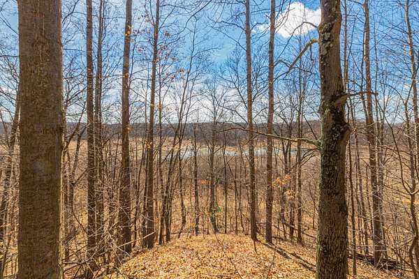 40 Acres of Recreational Land for Sale in Rodney, Michigan