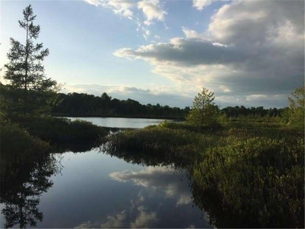 78.8 Acres of Recreational Land for Sale in Mckinley Town, Wisconsin