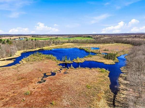 78.8 Acres of Recreational Land for Sale in Mckinley Town, Wisconsin
