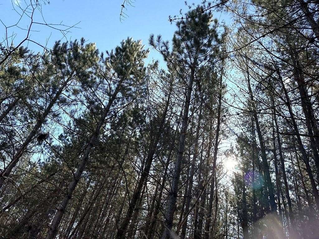 40 Acres of Recreational Land for Sale in Laporte, Minnesota