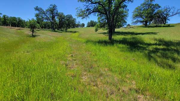 19 Acres of Land for Sale in Cottonwood, California