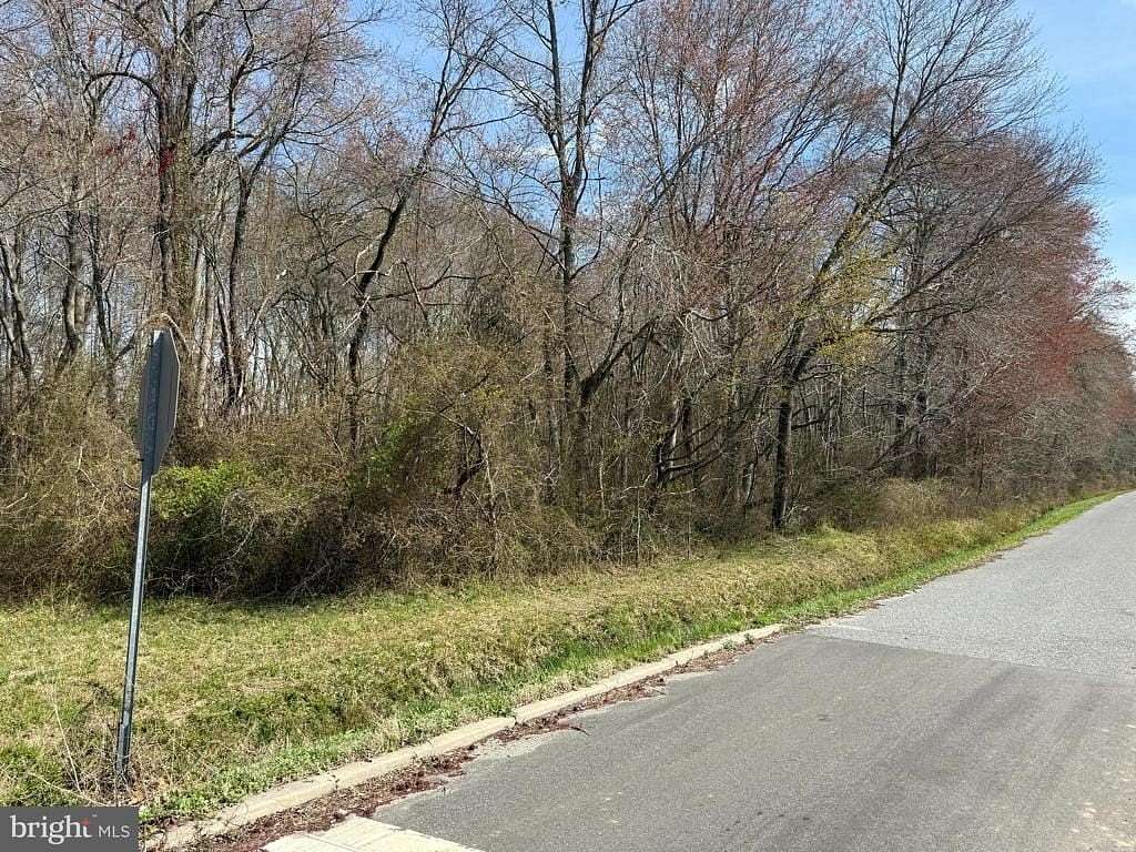 4.3 Acres of Land for Sale in Port Norris, New Jersey