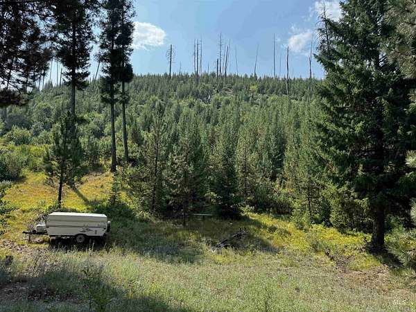 0.65 Acres of Land for Sale in Atlanta, Idaho