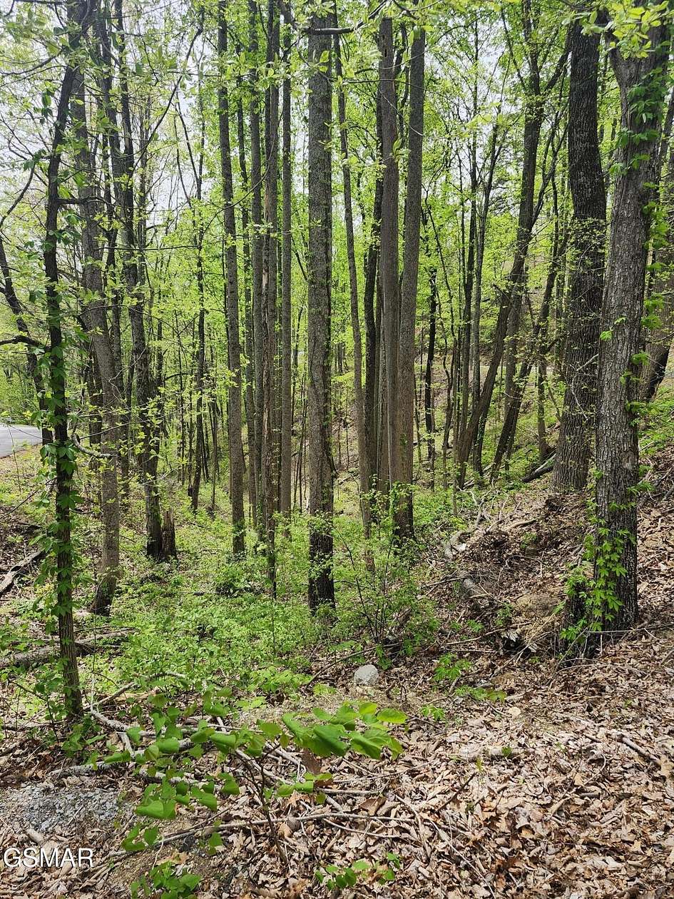1 Acre of Residential Land for Sale in Sevierville, Tennessee