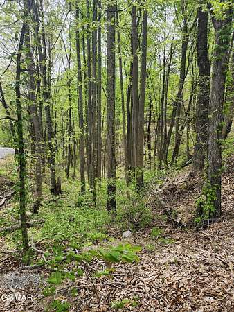 1 Acre of Residential Land for Sale in Sevierville, Tennessee