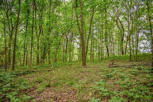 39 Acres of Recreational & Residential Land for Sale in Hugo, Oklahoma