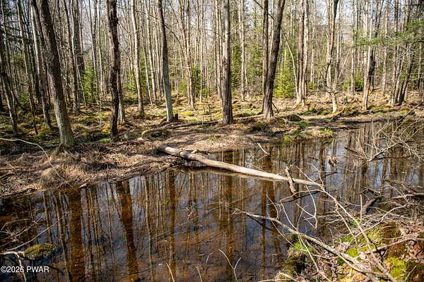 0.68 Acres of Residential Land for Sale in Pocono Lake, Pennsylvania