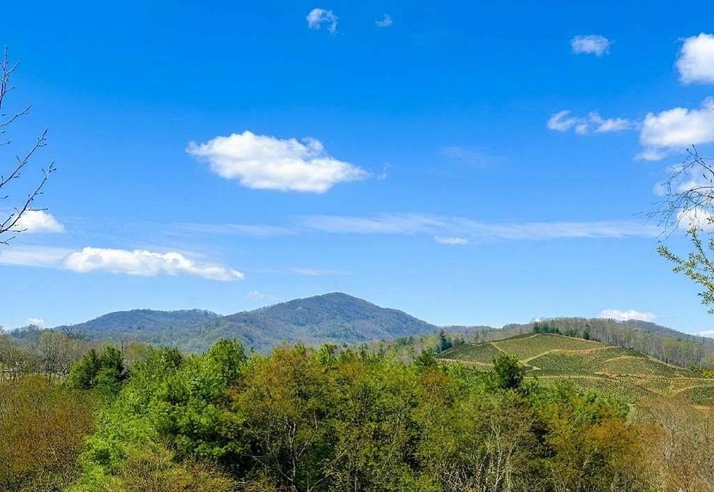 18.2 Acres of Recreational & Residential Land for Sale in Independence, Virginia