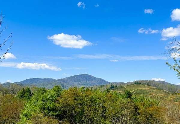 18.2 Acres of Recreational & Residential Land for Sale in Independence, Virginia