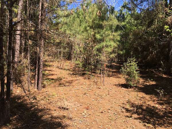 18.2 Acres of Land for Sale in Kennard, Texas