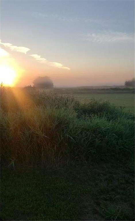 20 Acres of Land with Home for Sale in Brunswick Township, Minnesota