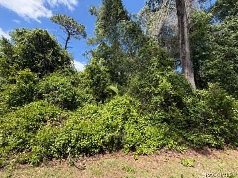 0.22 Acres of Residential Land for Sale in Inverness, Florida
