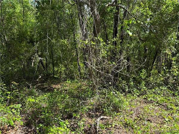 0.3 Acres of Residential Land for Sale in Inverness, Florida