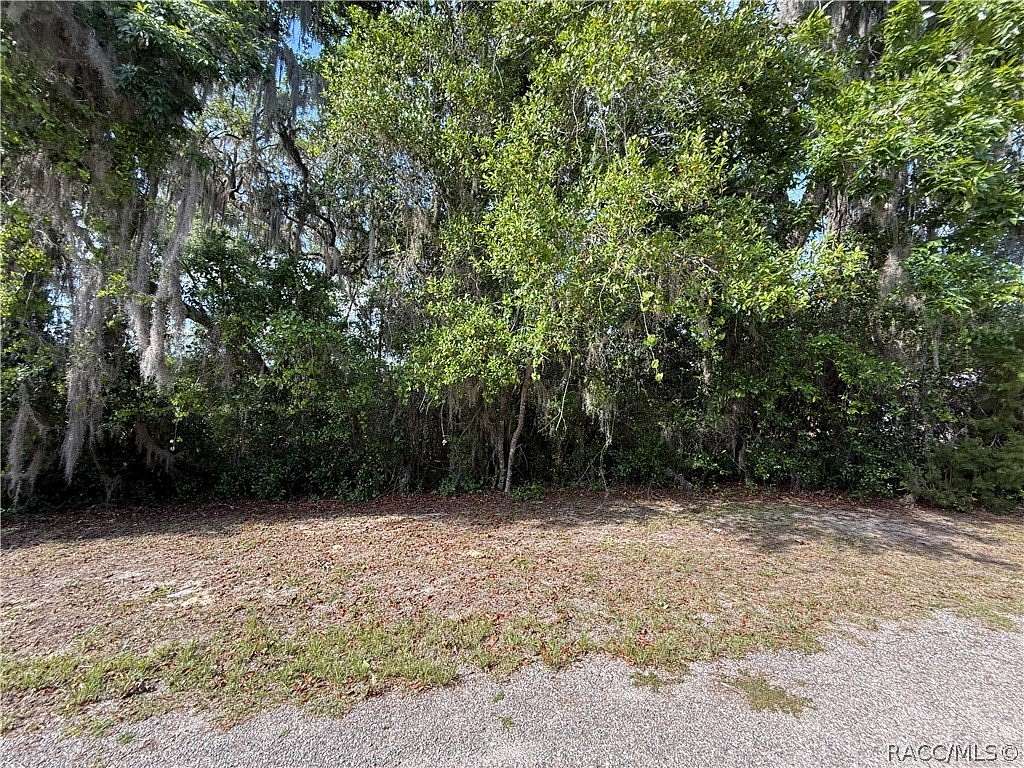 0.28 Acres of Residential Land for Sale in Inverness, Florida