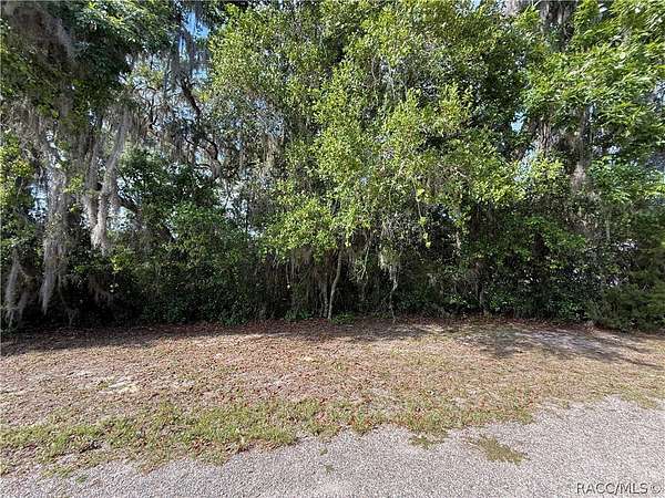 0.28 Acres of Residential Land for Sale in Inverness, Florida