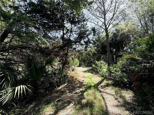 3.54 Acres of Land for Sale in Yankeetown, Florida