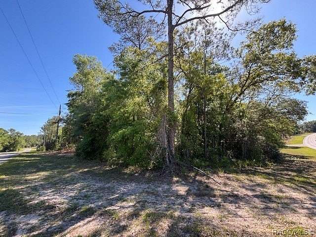 0.29 Acres of Residential Land for Sale in Citrus Springs, Florida