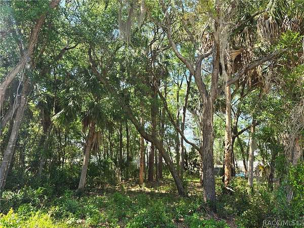 0.24 Acres of Residential Land for Sale in Crystal River, Florida