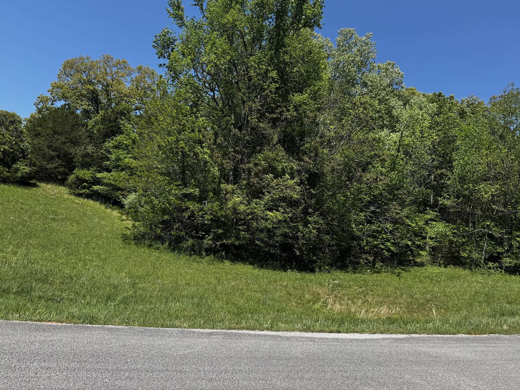 1 Acre of Residential Land for Sale in Decatur, Tennessee
