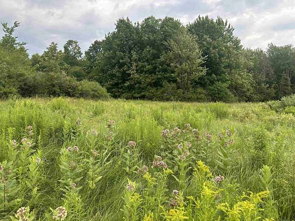 70 Acres of Land for Sale in DeKalb Junction, New York