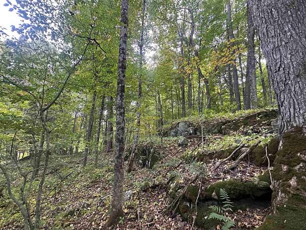 70 Acres of Land for Sale in DeKalb Junction, New York