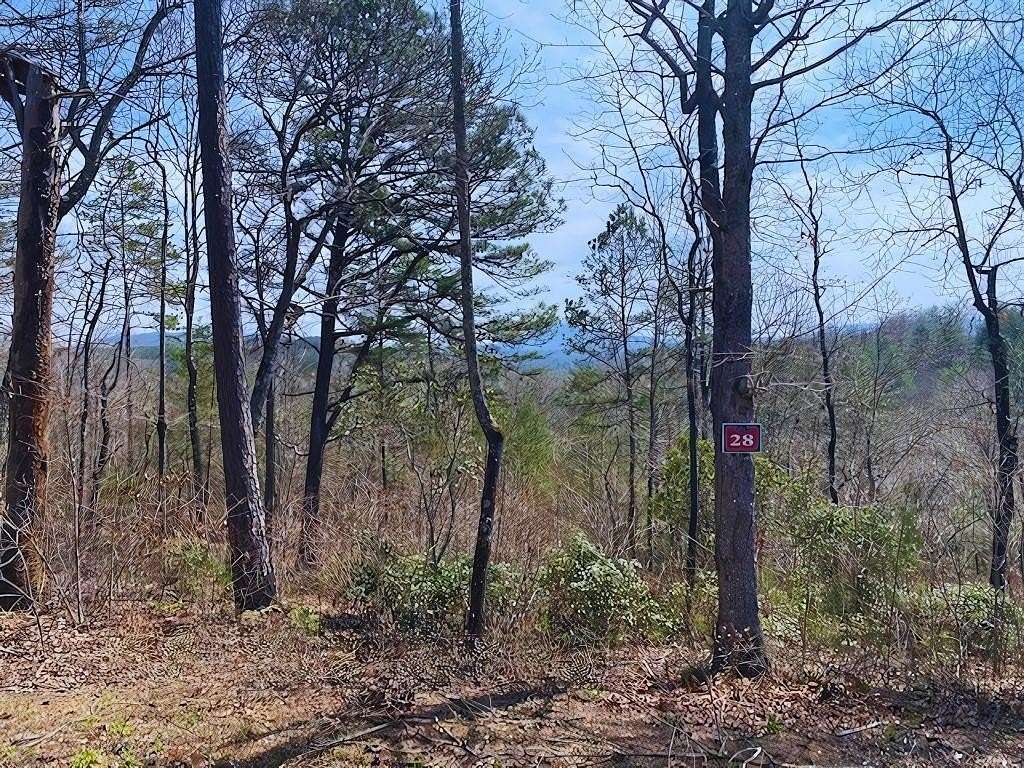 2 Acres of Residential Land for Sale in Warne, North Carolina