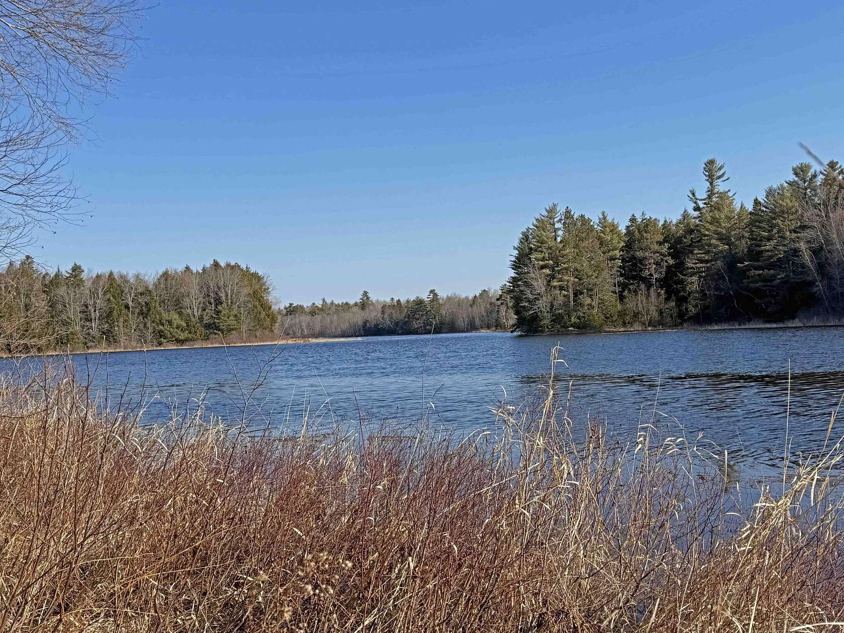 5.74 Acres of Land for Sale in Mariaville, Maine
