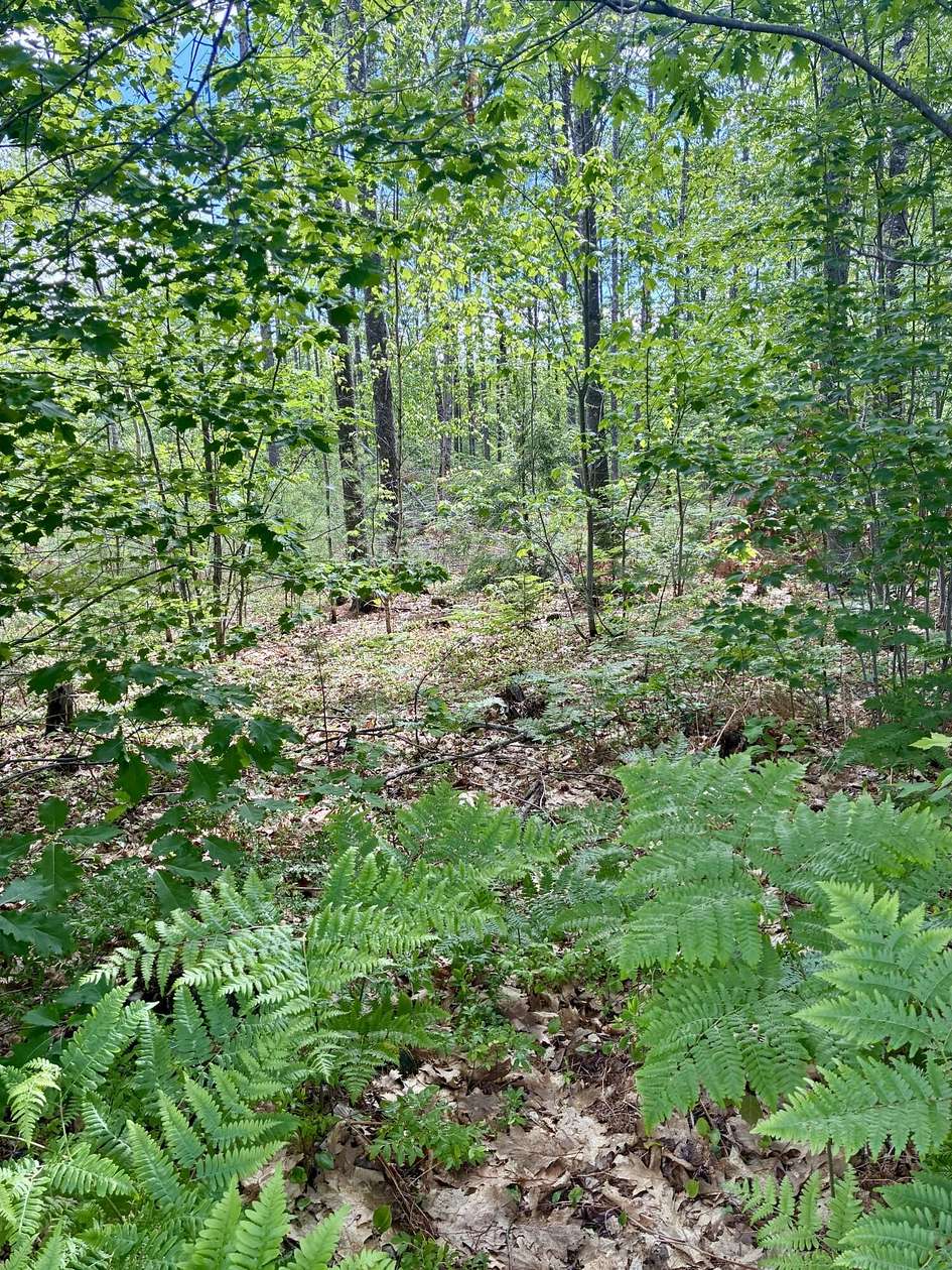 2 Acres of Residential Land for Sale in Farmington, Maine