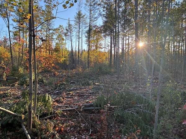 2.2 Acres of Residential Land for Sale in Farmington, Maine