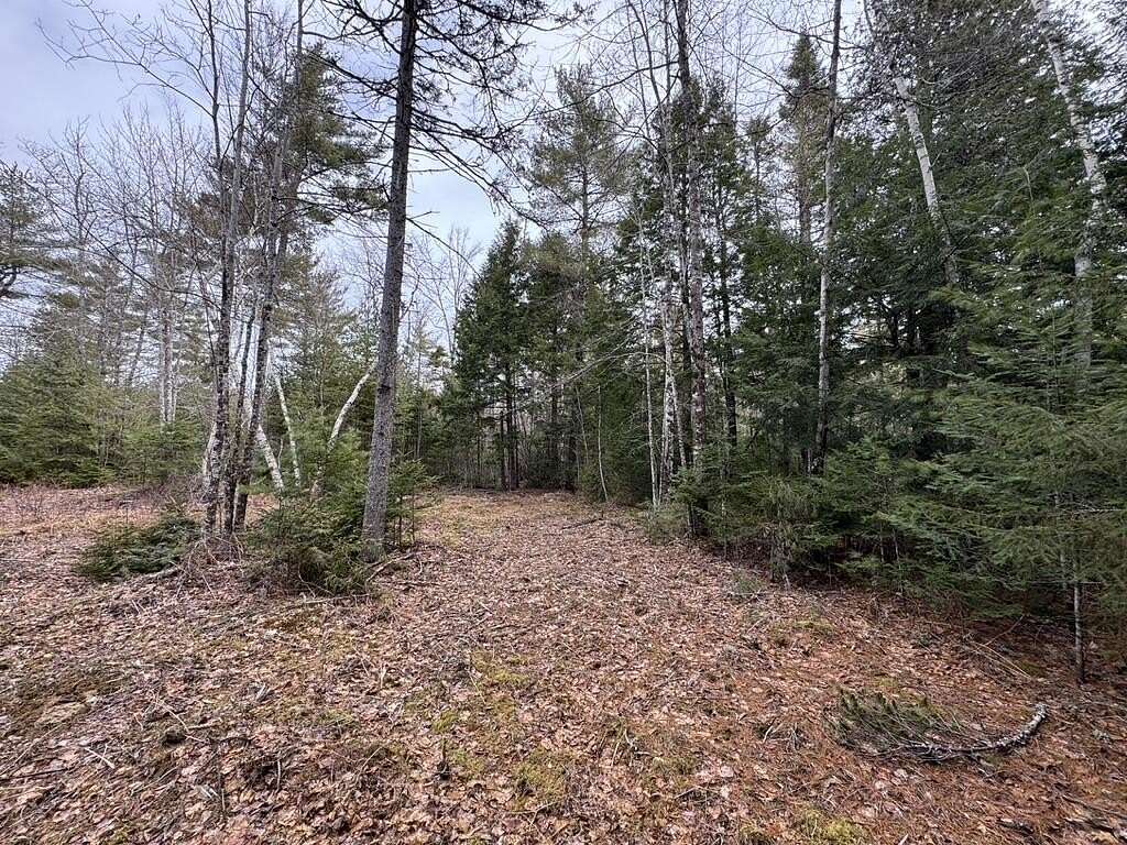 4.72 Acres of Residential Land for Sale in Waltham, Maine