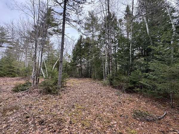 4.72 Acres of Residential Land for Sale in Waltham, Maine