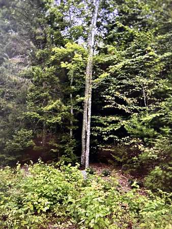 1.1 Acres of Residential Land for Sale in Sullivan, Maine