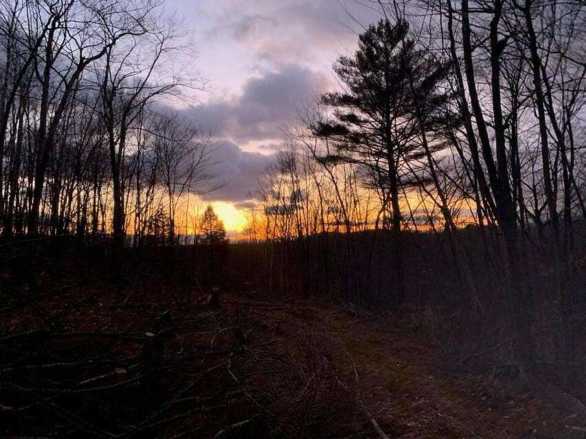 21 Acres of Land for Sale in Hiram, Maine